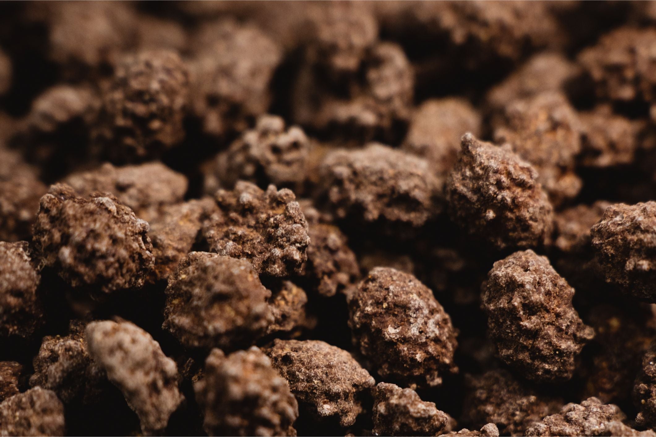 Choconuts