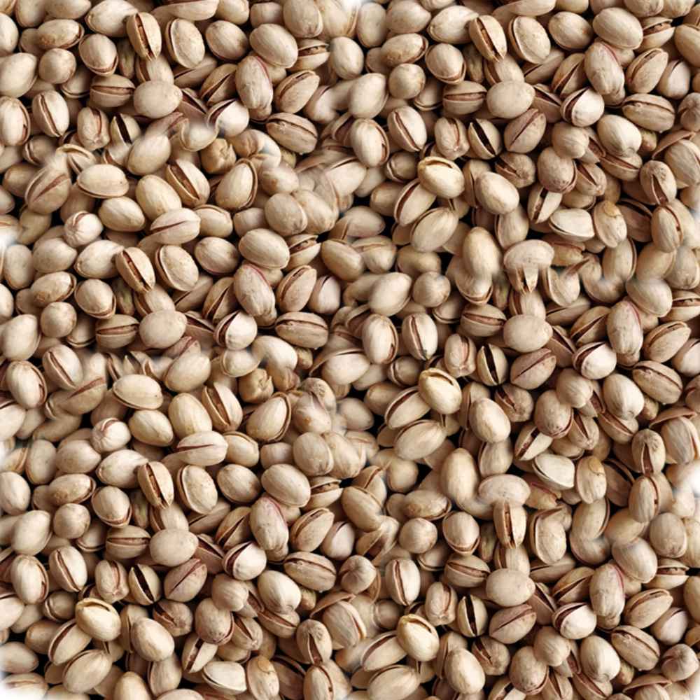 Pistachos Naturales