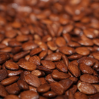 Almendra Caramelizada, AOVE&Sal