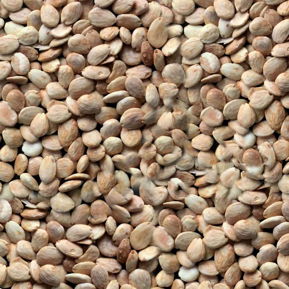 almendras gourmet tostadas sin sal