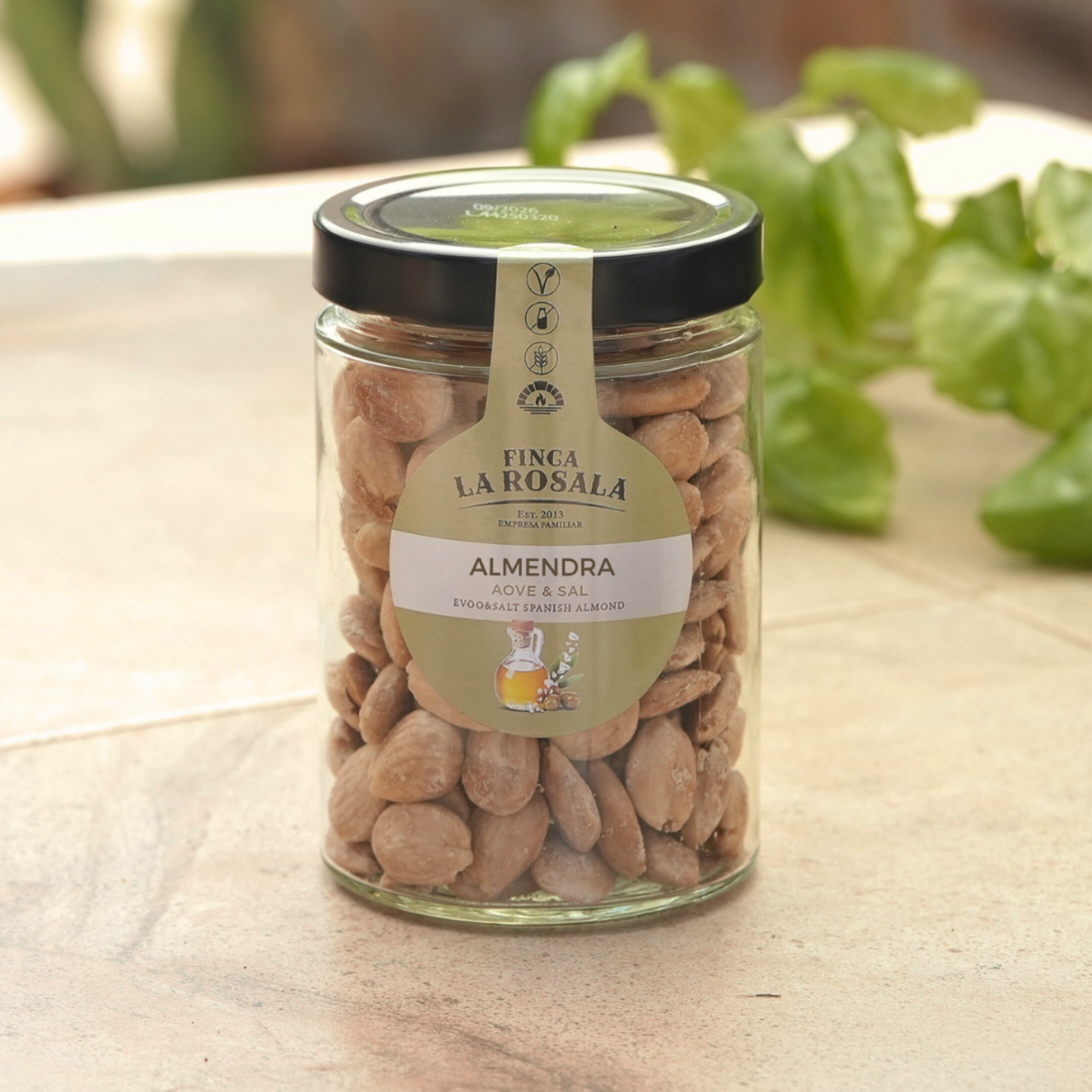 
                  
                    Peeled Valencia Almond EVOO&amp;Salt (Tasty Roasted)
                  
                
