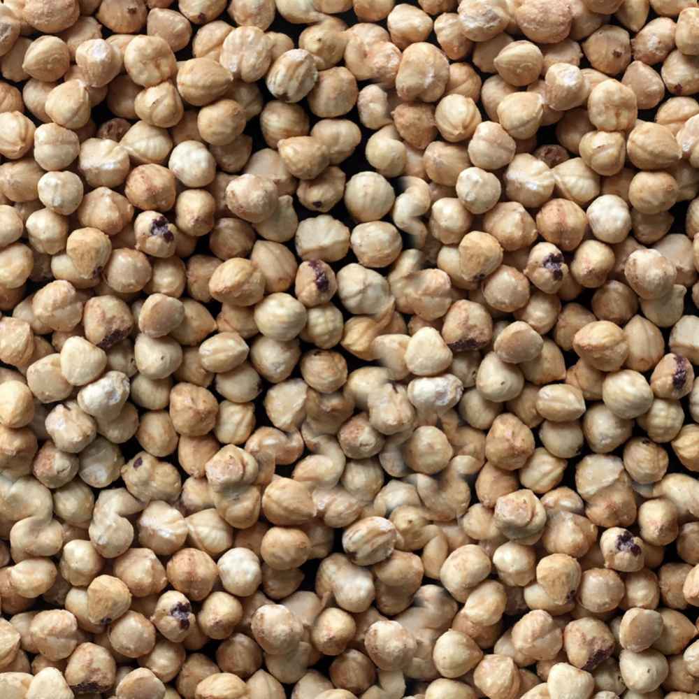 Avellana sin sal (Tostado Natural)