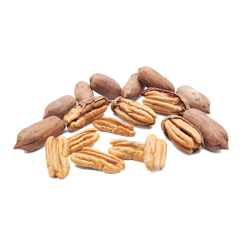 pecana cáscara nacional bio cruda